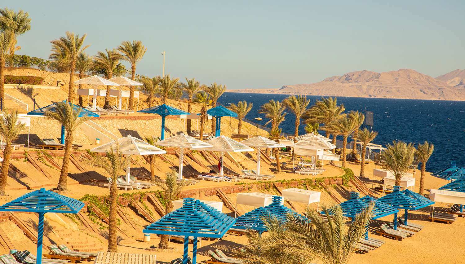 منتجع جراند اويزيس ريزورت شرم الشيخ | Grand Oasis Resort